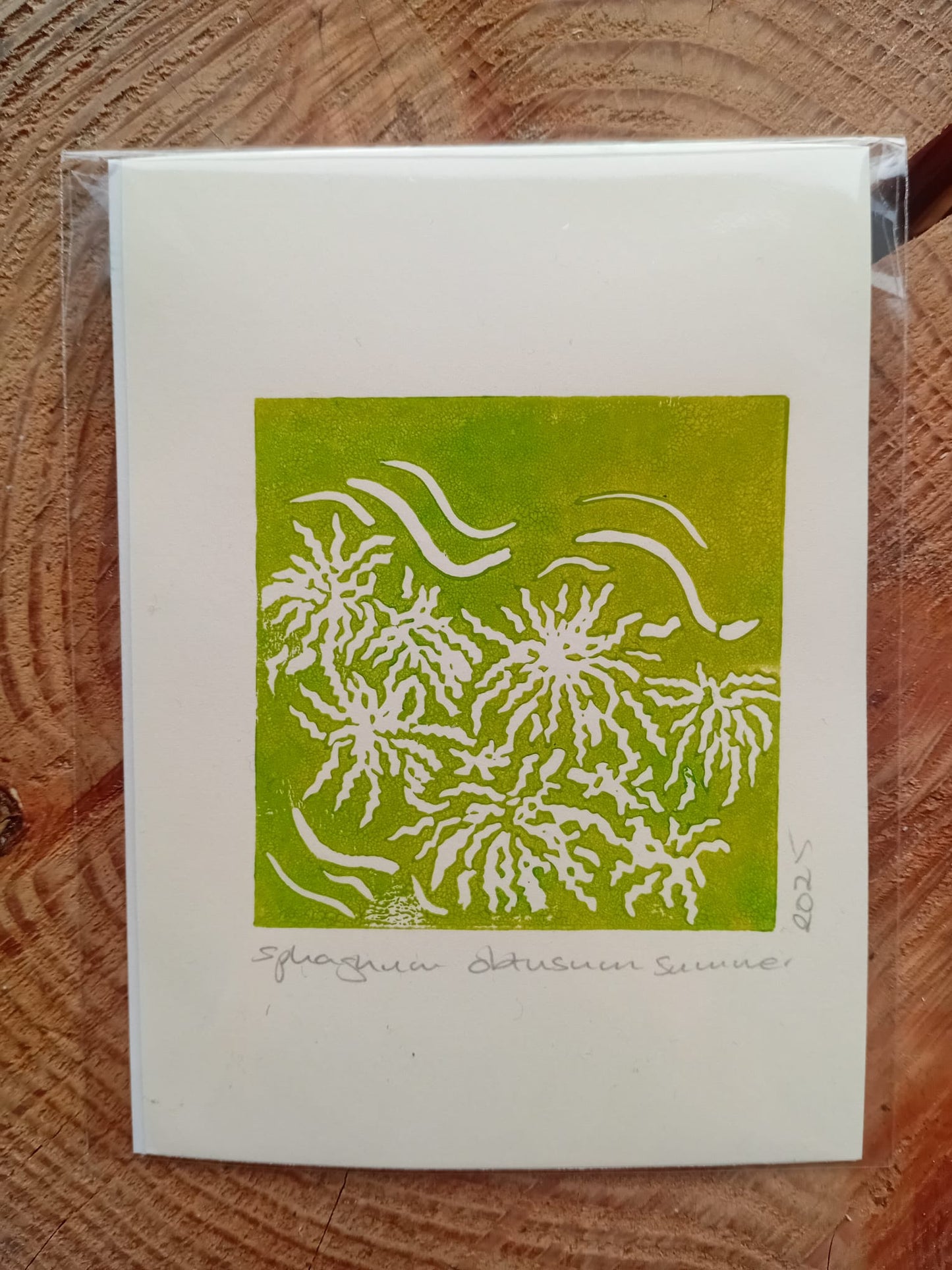 Handmade original lino print of sphagnum obtusm moss on a tree stump background