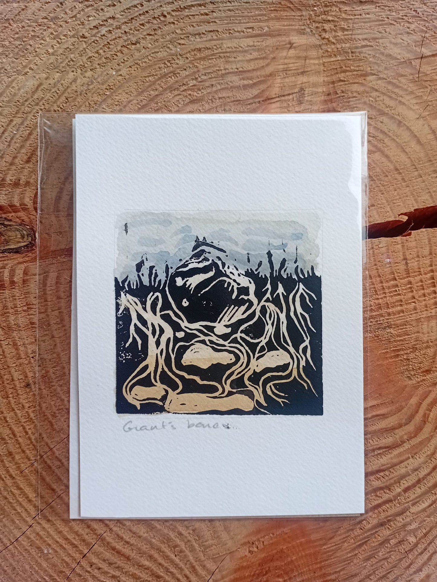 Lino and watercolour print in its compostable plastic cover