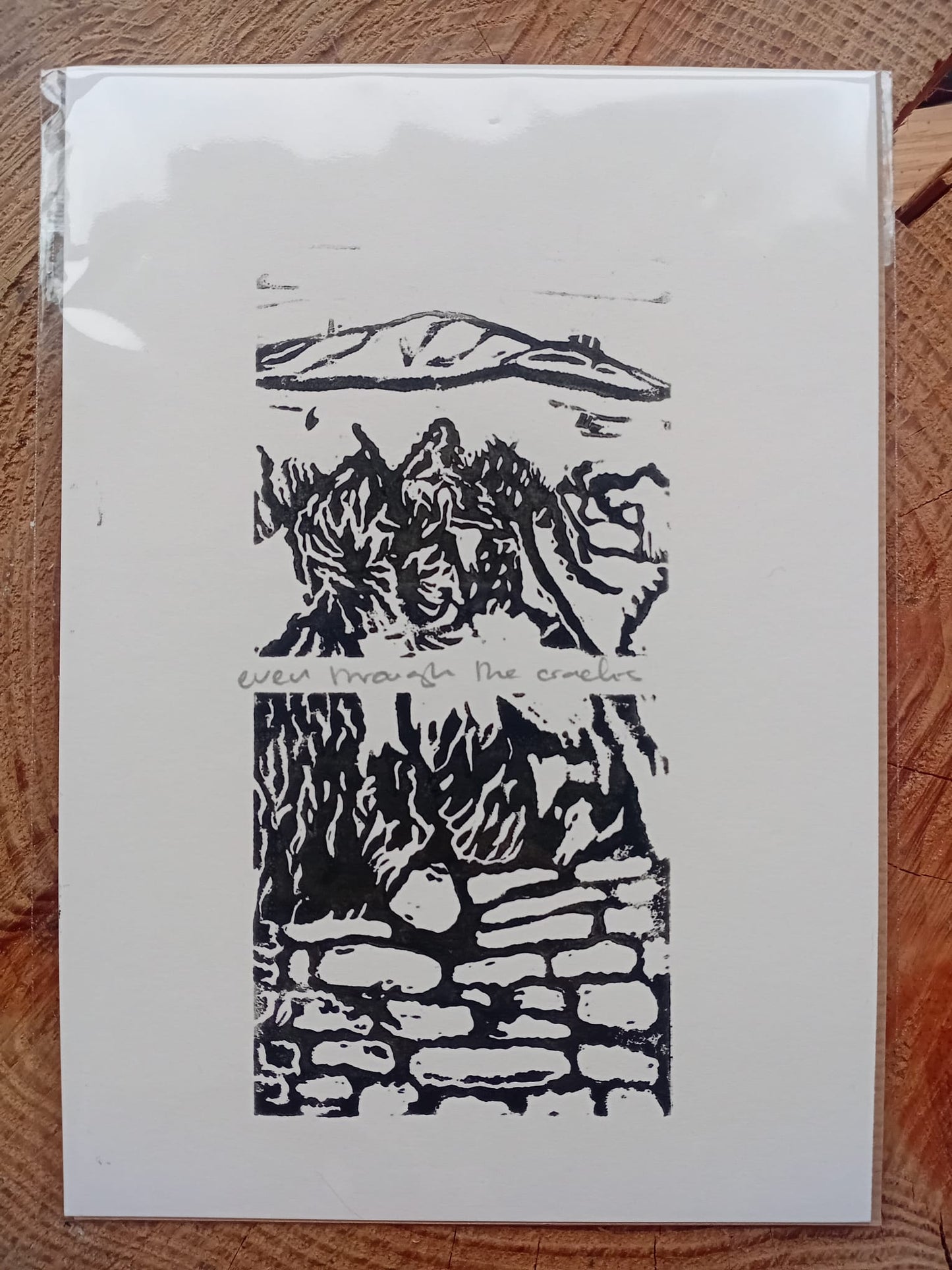 Original Lino print Even Through the Cracks, in a compostable plastic dust sleeve and on a wooden background