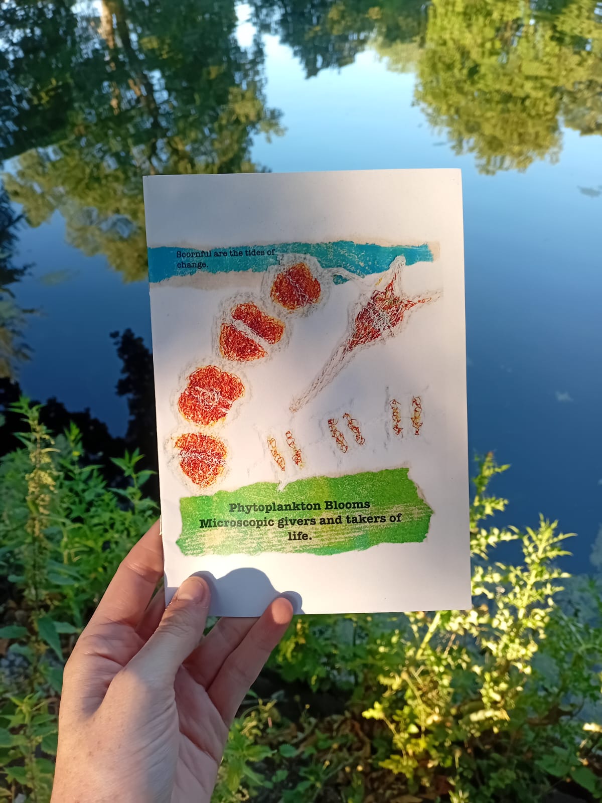 Hand holding a card with phytoplankton illustration against a natural background