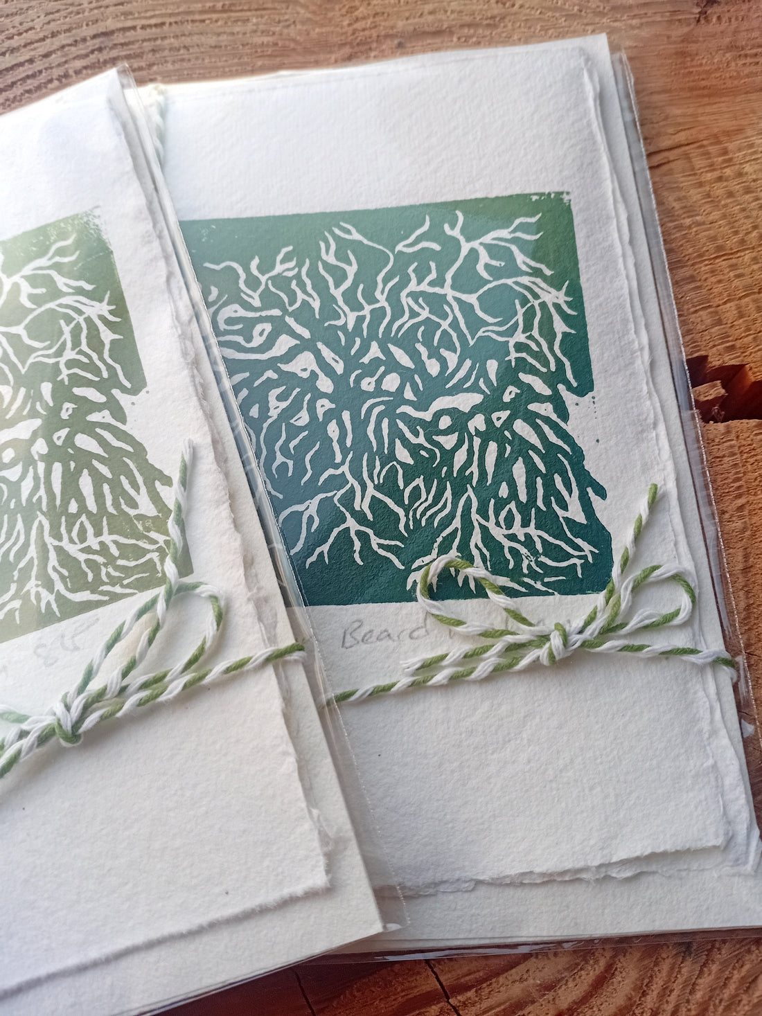 Beard Lichen cards and prints are now in stock!