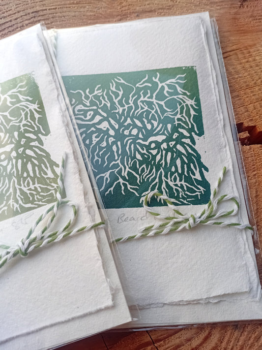 Beard Lichen cards and prints are now in stock!
