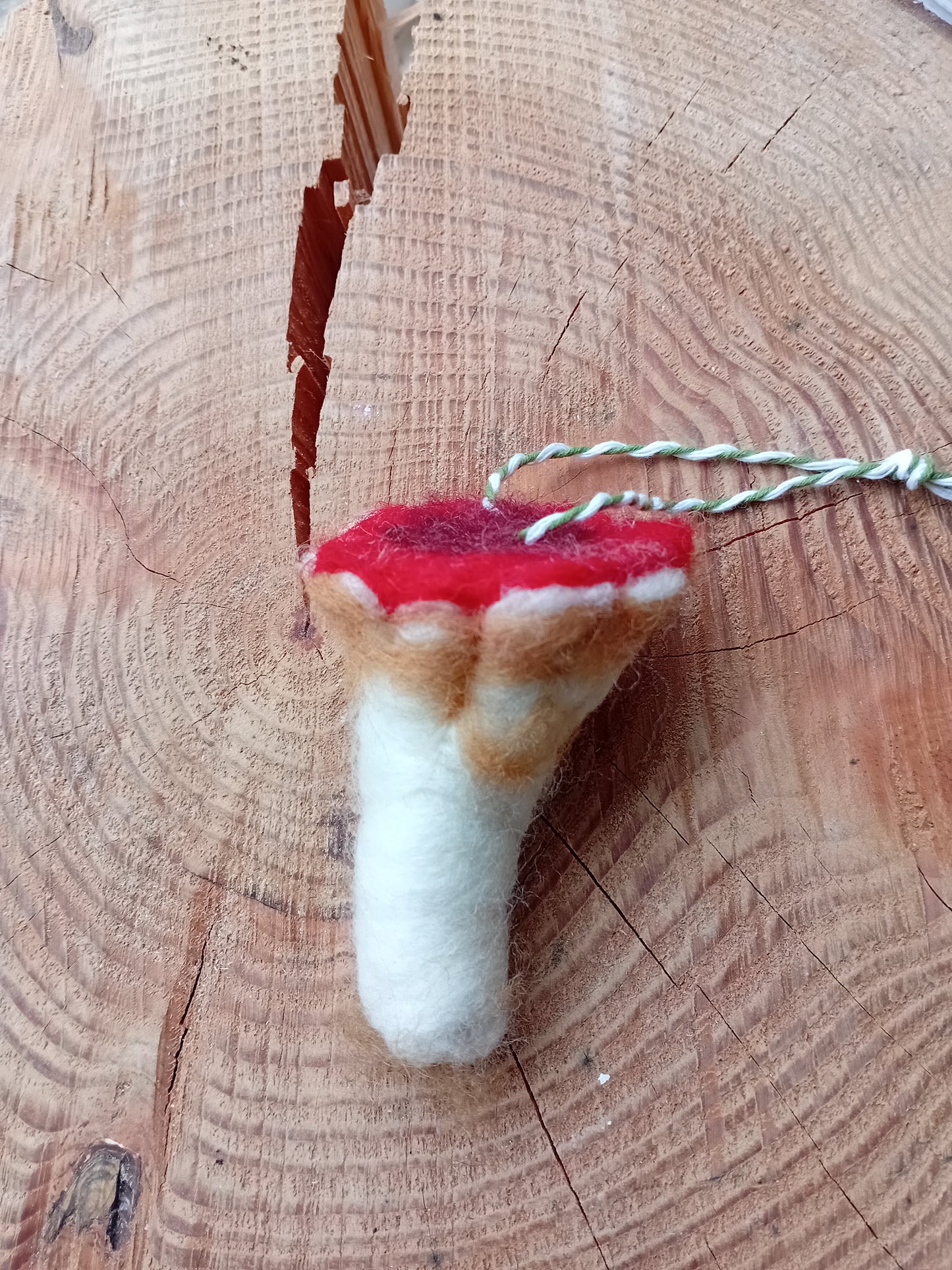 @Analogish Felted Forest Floor Mushrooms