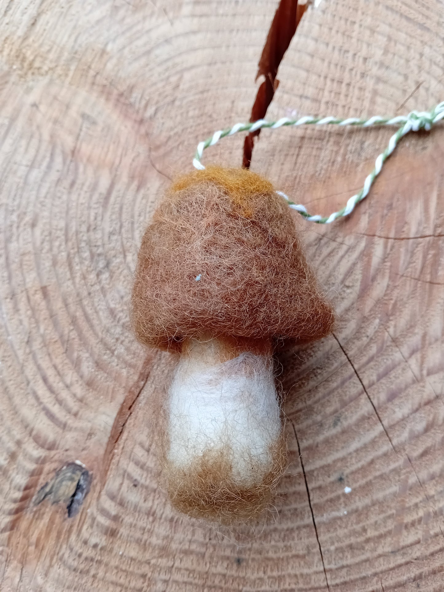 @Analogish Felted Forest Floor Mushrooms