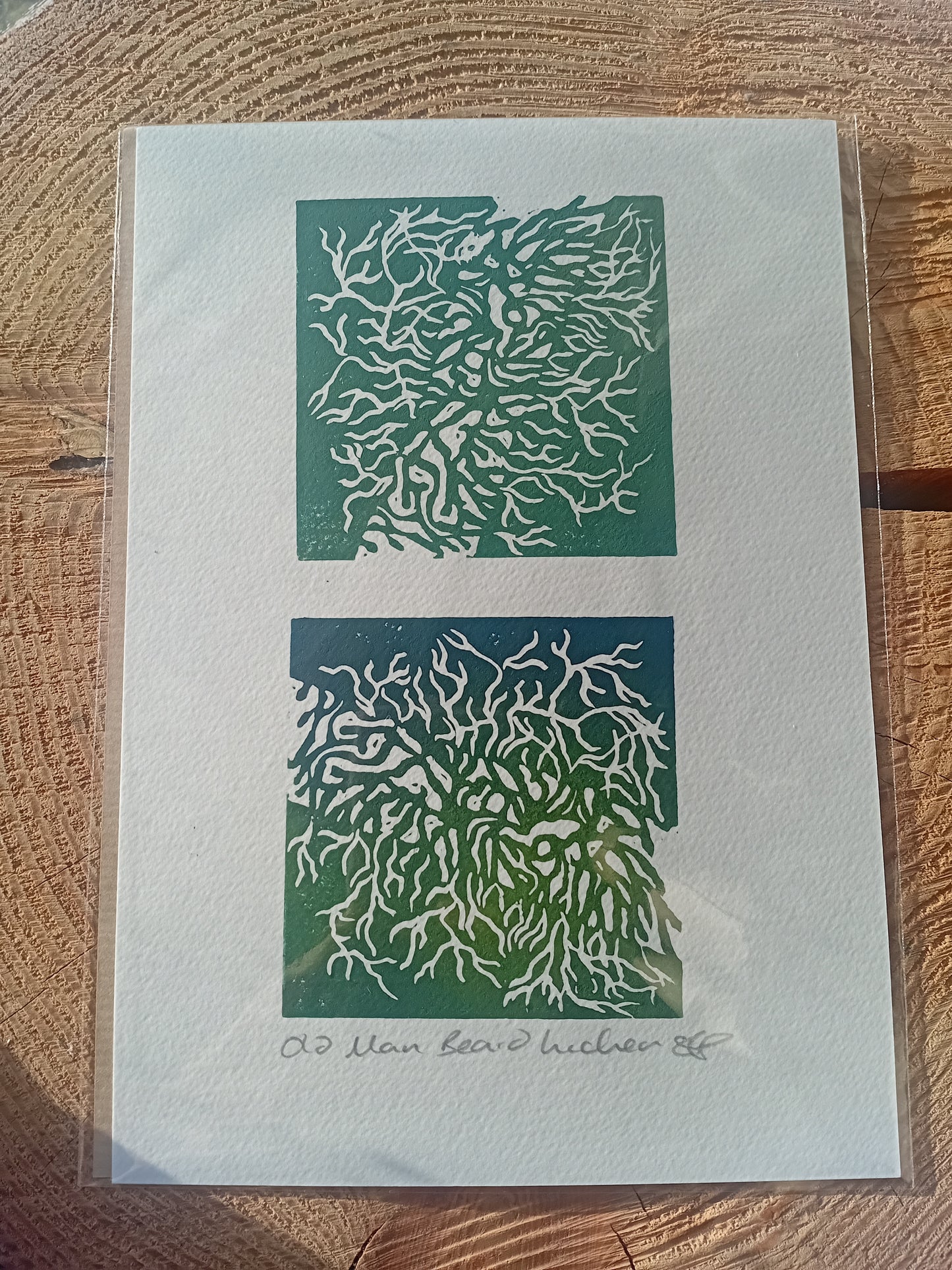 Analogish Old Man Beard Lichen A5 Original Lino Print
