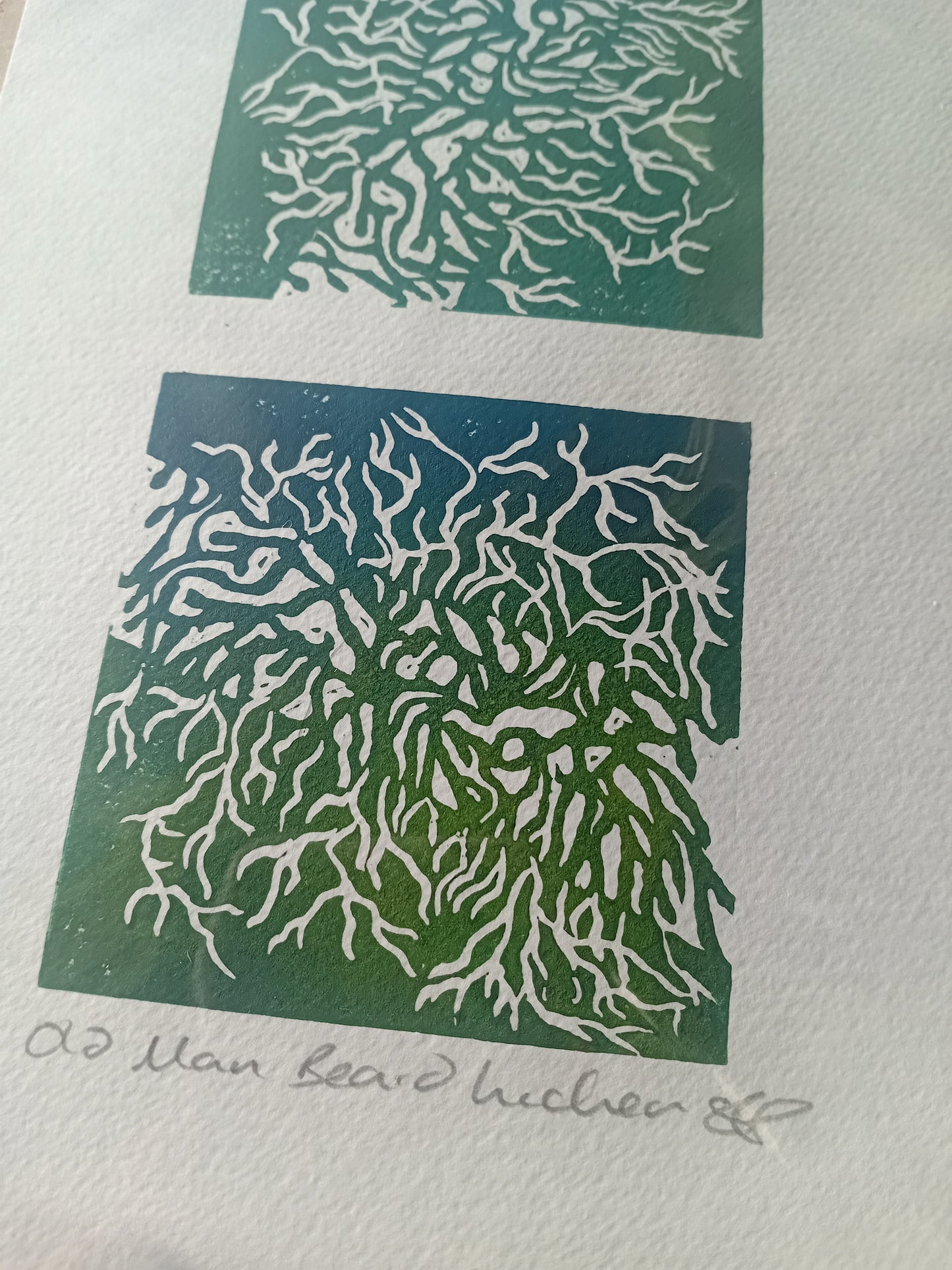 Analogish Old Man Beard Lichen A5 Original Lino Print