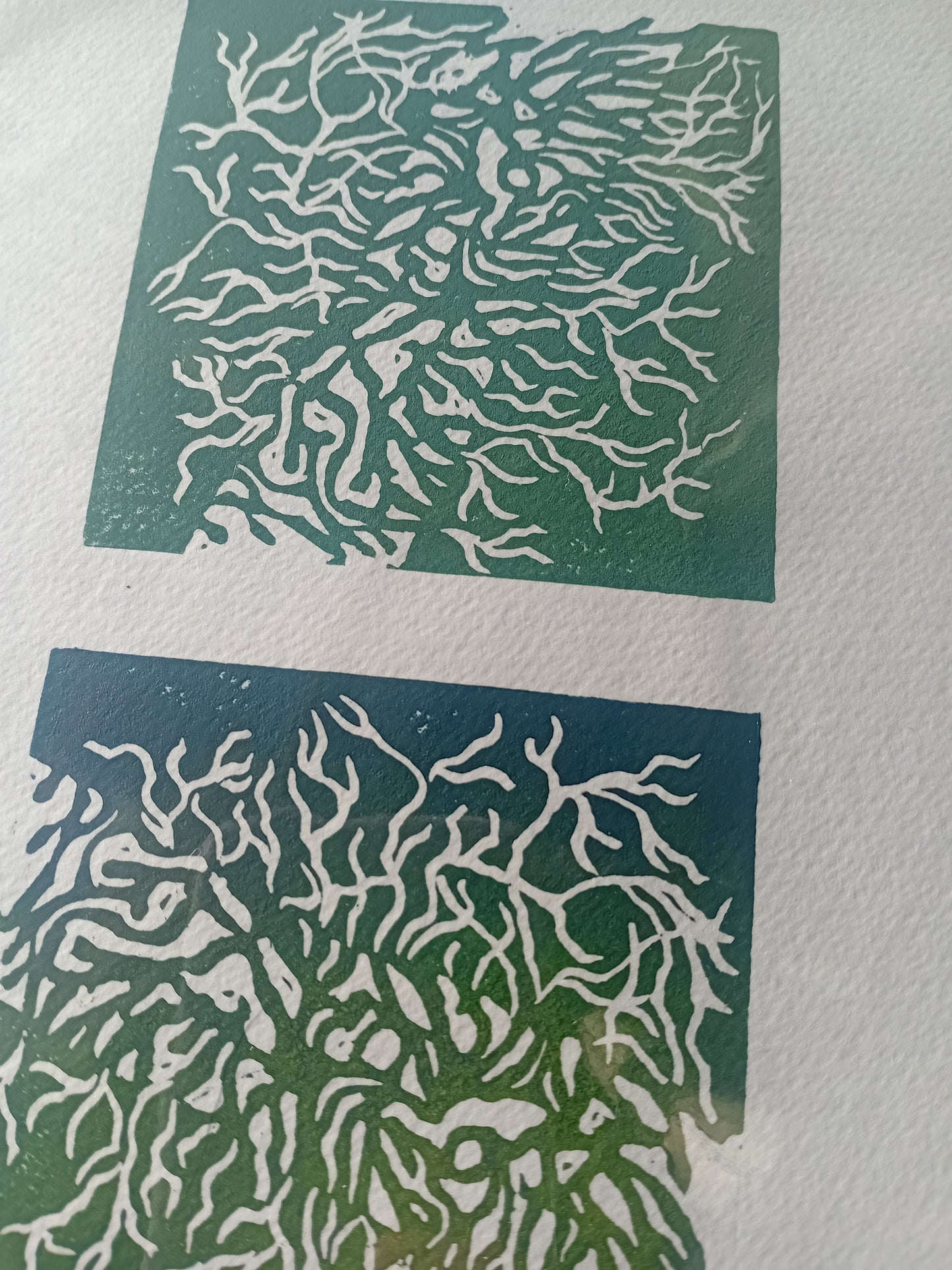 Analogish Old Man Beard Lichen A5 Original Lino Print