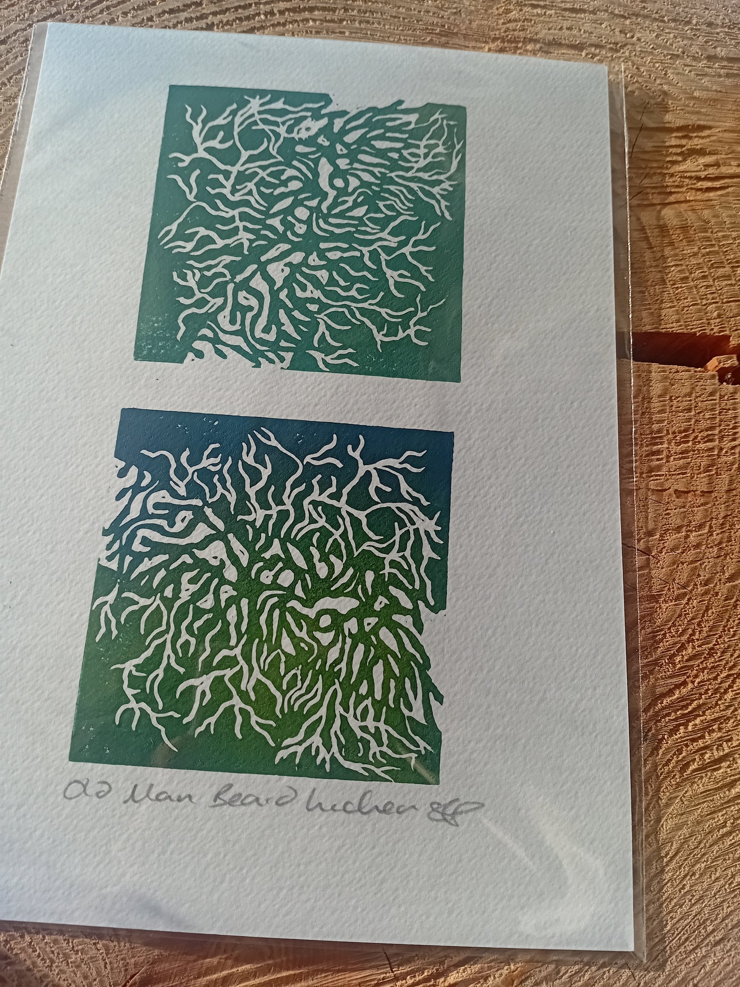Analogish Old Man Beard Lichen A5 Original Lino Print