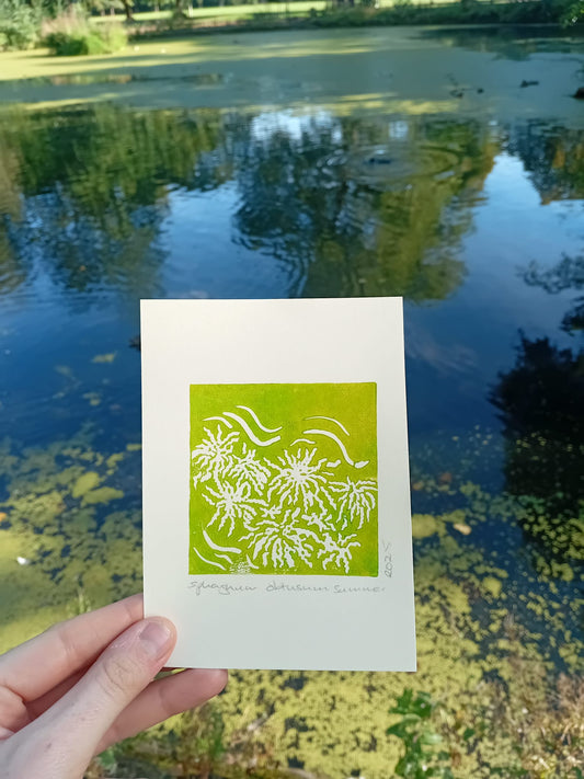 Sphagnum Obtusum moss print in green being held above the 