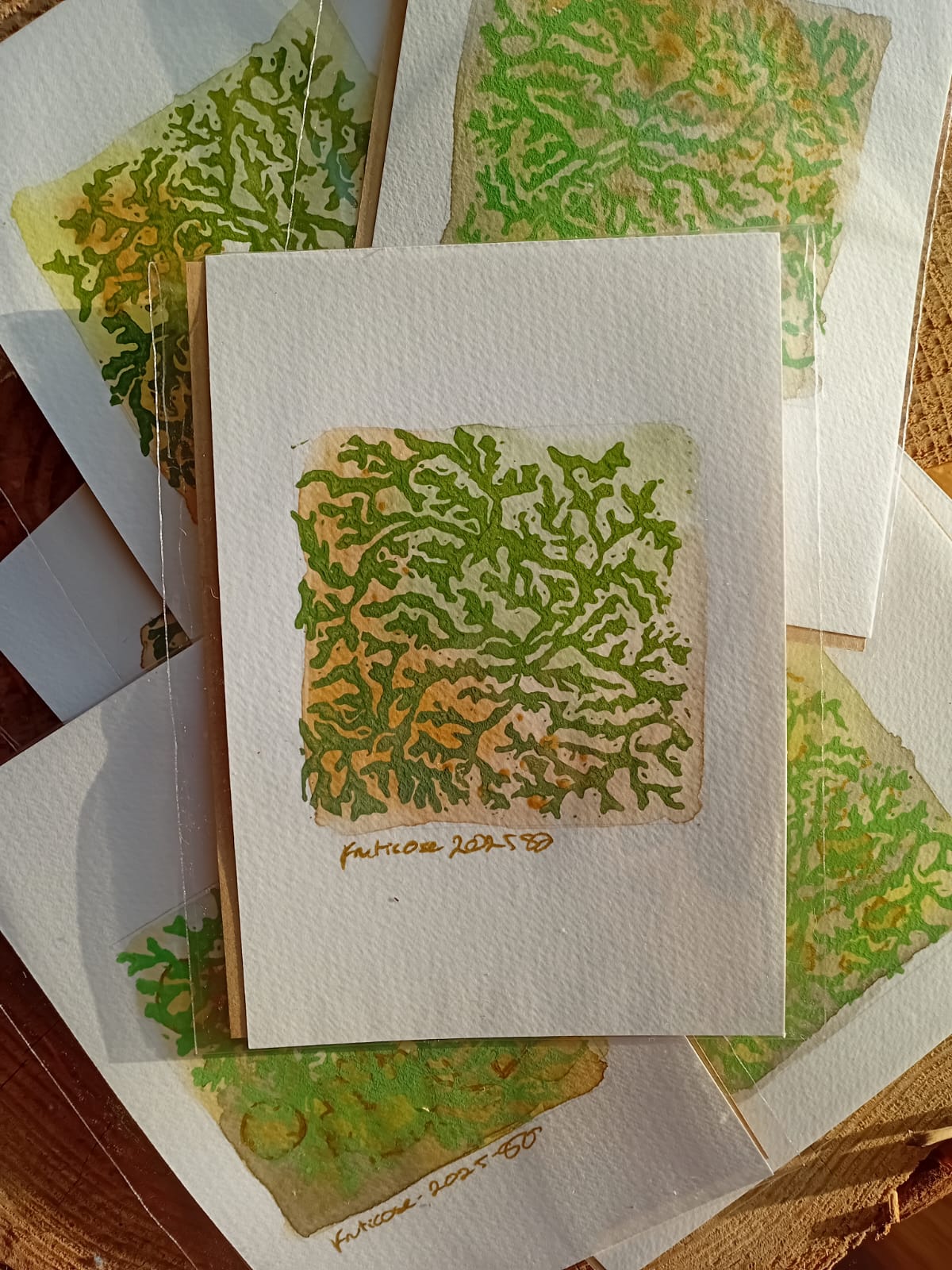 Fruticose A6 prints on watercolour paper