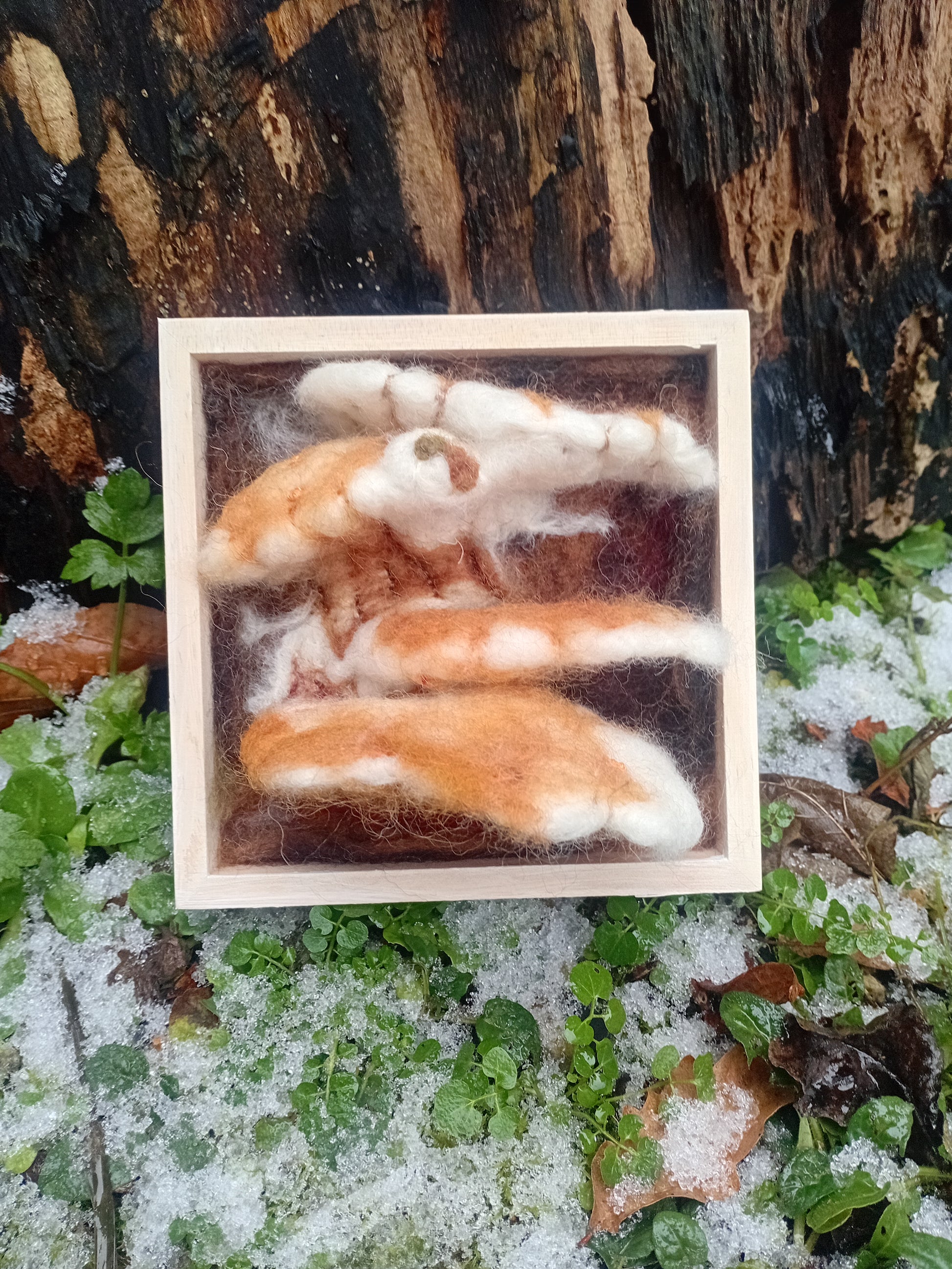 Wooden framed felted artwork of Chicken of the Woods mushrooms made by local artist in Manchester