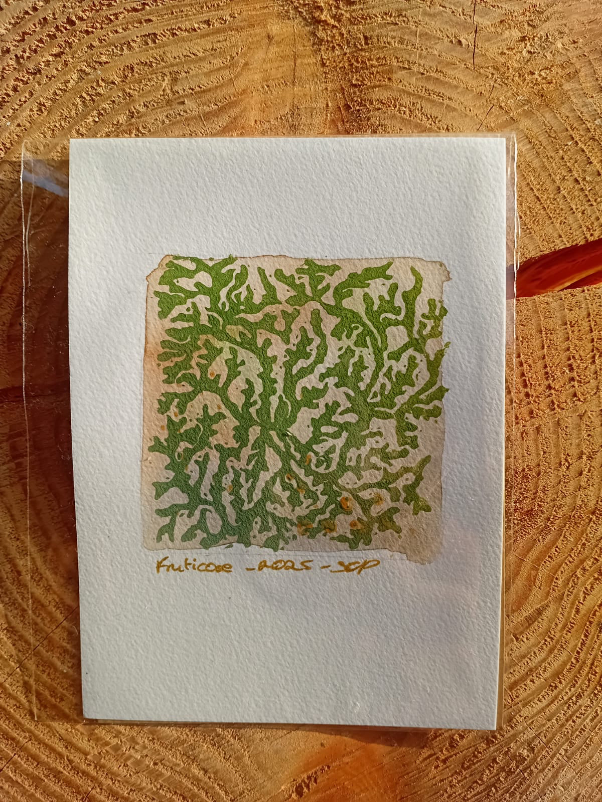 A6 watercolour paper with dark green fruticose print. 