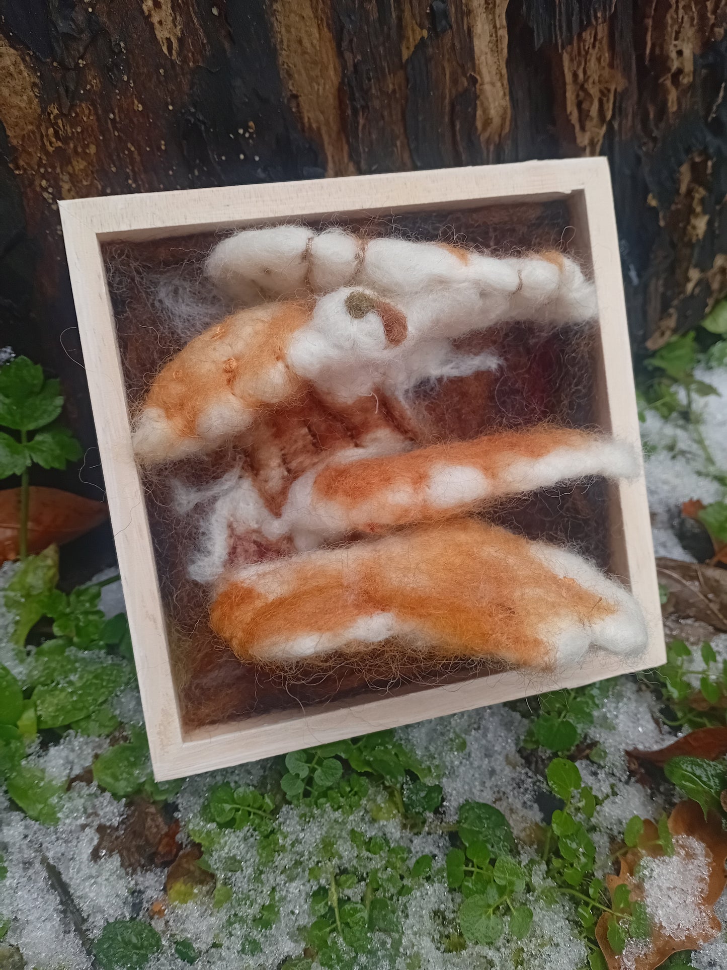 Wooden framed Chicken of the Woods mushroom on a green and brown natural background. Hand-felted by local artist