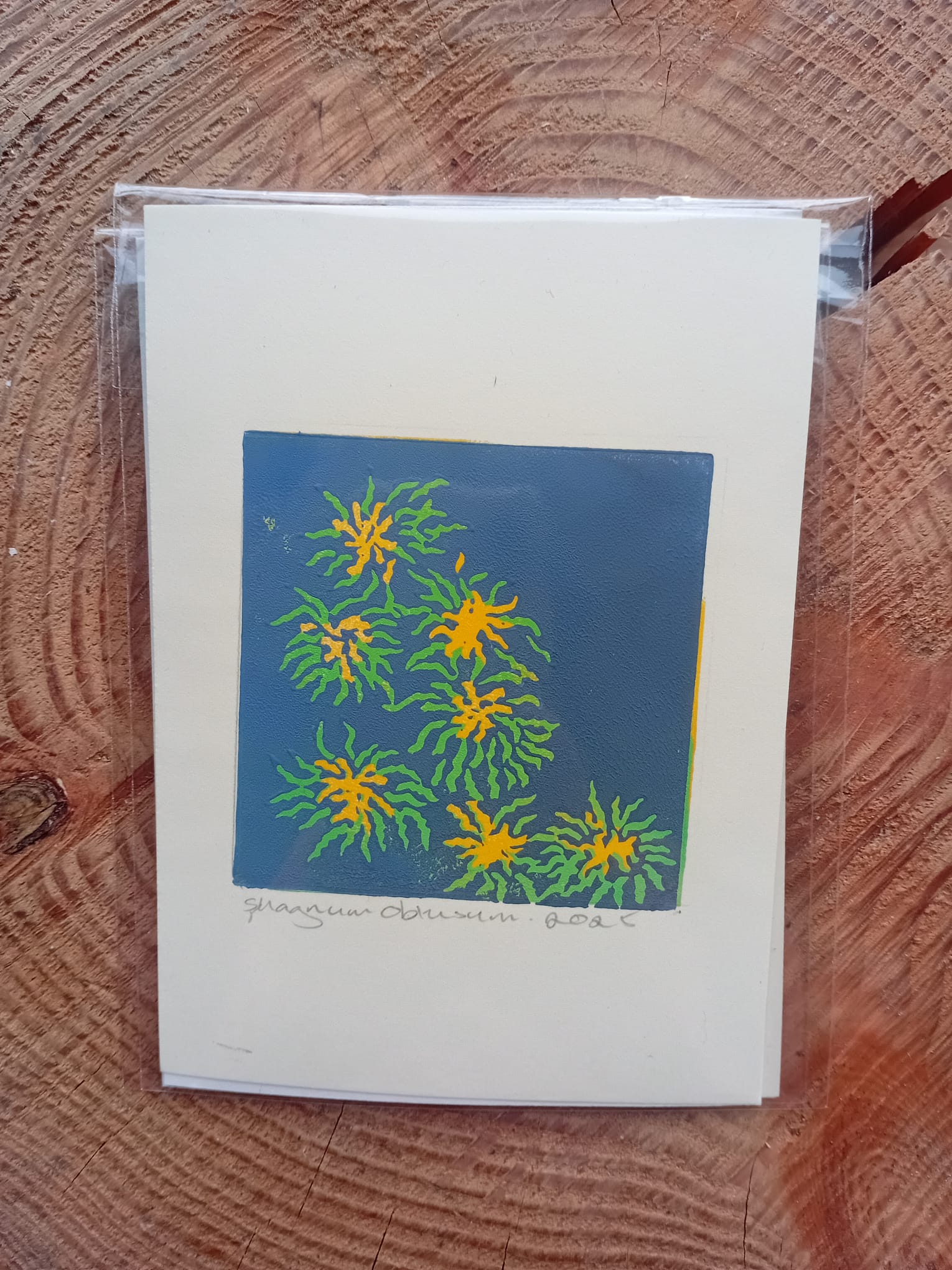 Spagnum Obtusum moss reduction print in its packaging on a tree stump background