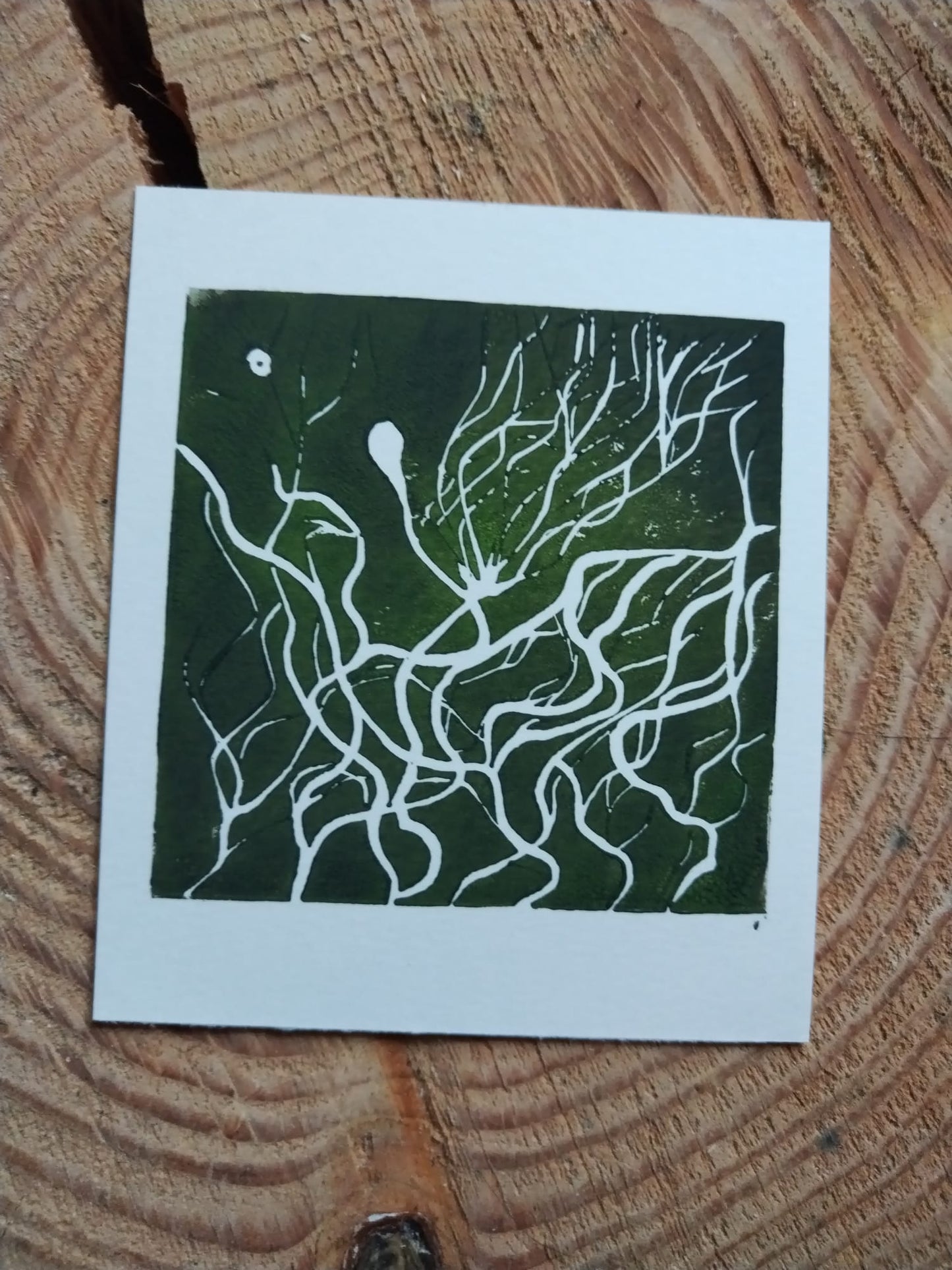 @Analogish Hyphae Print