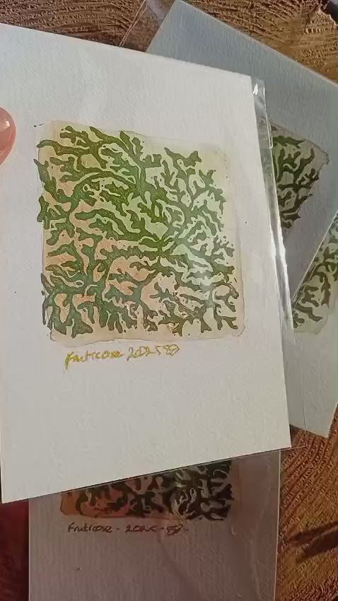 Fruticose Print Film